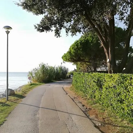 Apartament Apartments Oleander Lovrecica 250M From Beach Lovrečica
