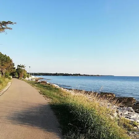 Apartments Oleander Lovrecica 250M From Beach *