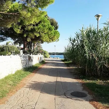 Oleander Lovrecica-residence With Pool דירה