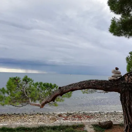 Oleander Lovrecica-residence With Pool * Lovrečica