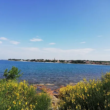 דירה Oleander Lovrecica-residence With Pool *
