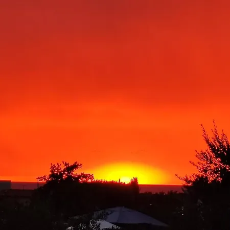 Oleander Lovrecica-residence With Pool דירה