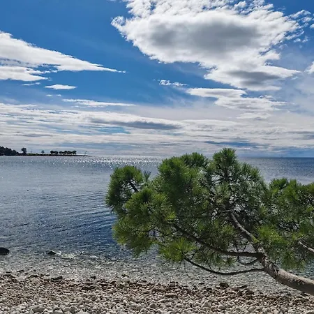 Apartament Apartments Oleander Lovrecica 250M From Beach *