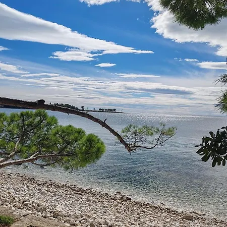 Oleander Lovrecica-residence With Pool דירה Lovrečica