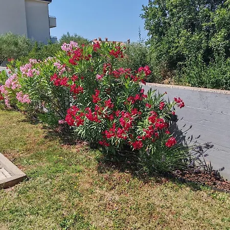 Apartments Oleander Lovrecica 250M From Beach Lovrečica
