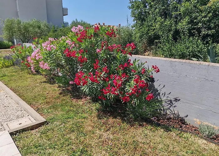 Oleander Lovrecica-residence With Pool Lovrečica